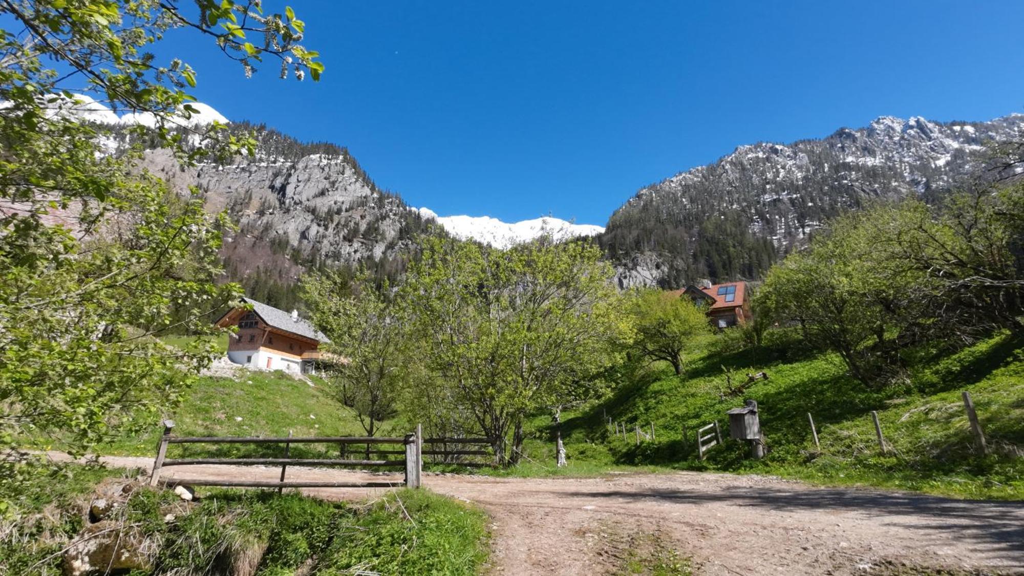 Villa Haus 1683 - Wolfbauer Johnsbach Esterno foto